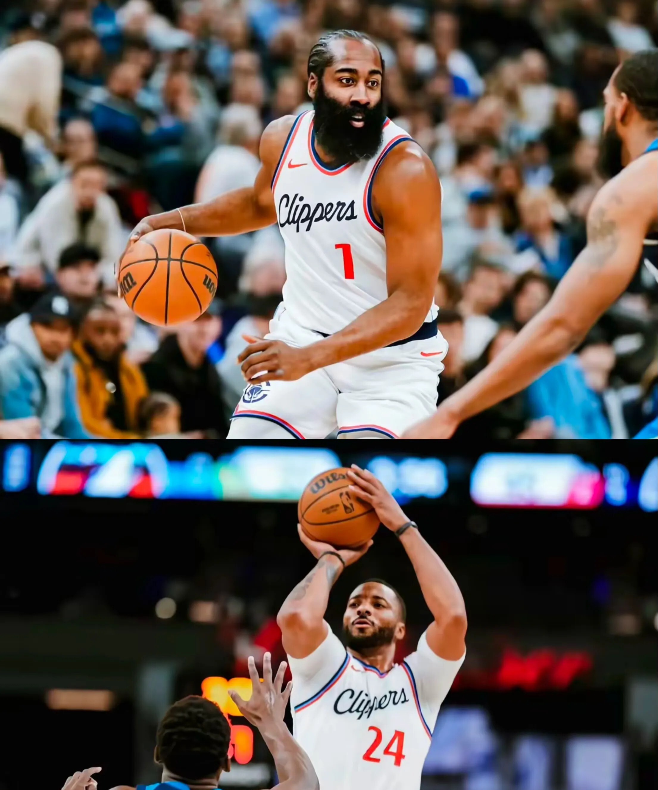 快船力克森林狼,哈雷尔分表现出色的简单介绍 快船力克森林狼,哈雷尔分表现出色的简单介绍